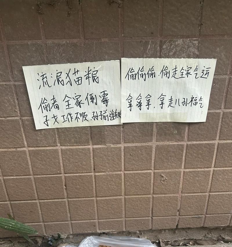 猫偷猫粮怎么遛狗的呢？如何防止猫狗争食？