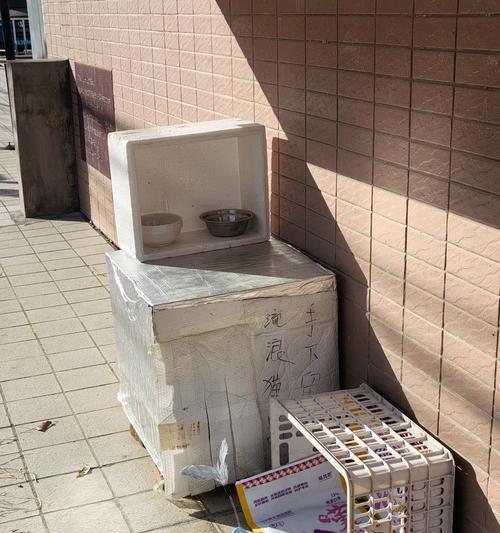 猫偷猫粮怎么遛狗的呢？如何防止猫狗争食？