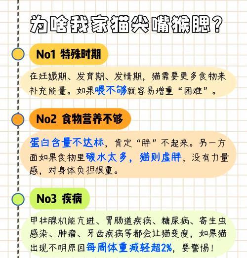 猫突然食量增加是什么原因？