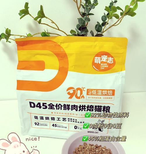 软便猫咪的猫粮选择和喂食建议是什么？