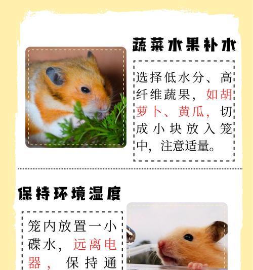 家猫误食仓鼠粮如何处理？有哪些紧急措施？