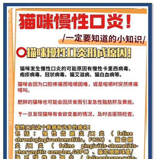 猫咪吃猫粮嘴巴疼应如何处理？需要服用什么药物？