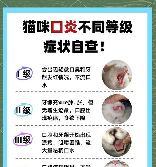 猫咪吃猫粮嘴巴疼应如何处理？需要服用什么药物？