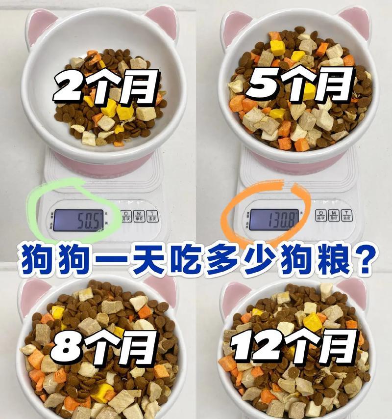 狗狗吃自制狗饭后还需要狗粮吗？自制狗饭与狗粮的营养对比如何？