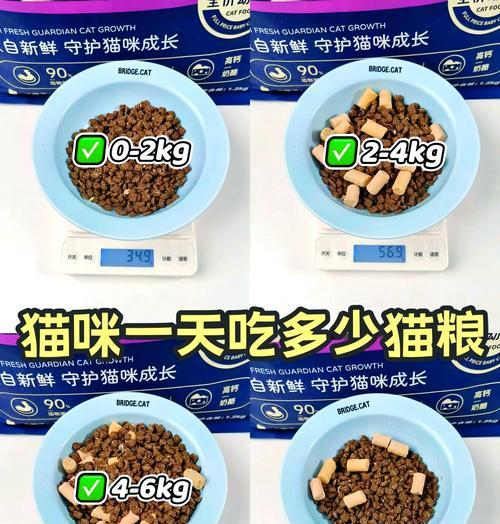 幼猫正确的猫粮喂食方法是什么？