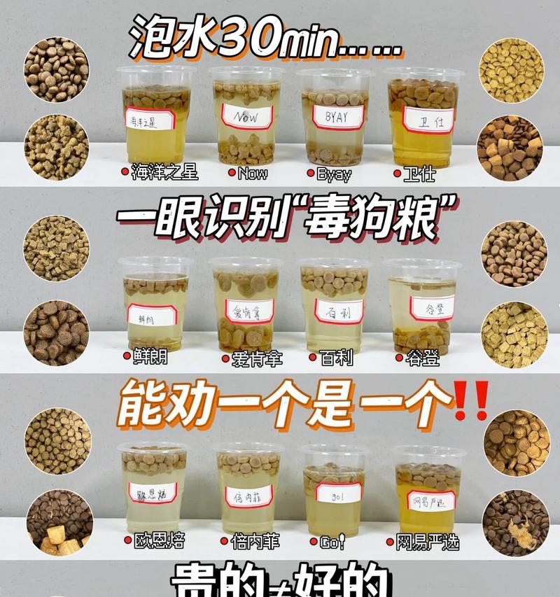 自制狗粮是否会影响狗狗的饮水习惯？如何调整饮食结构促进饮水？