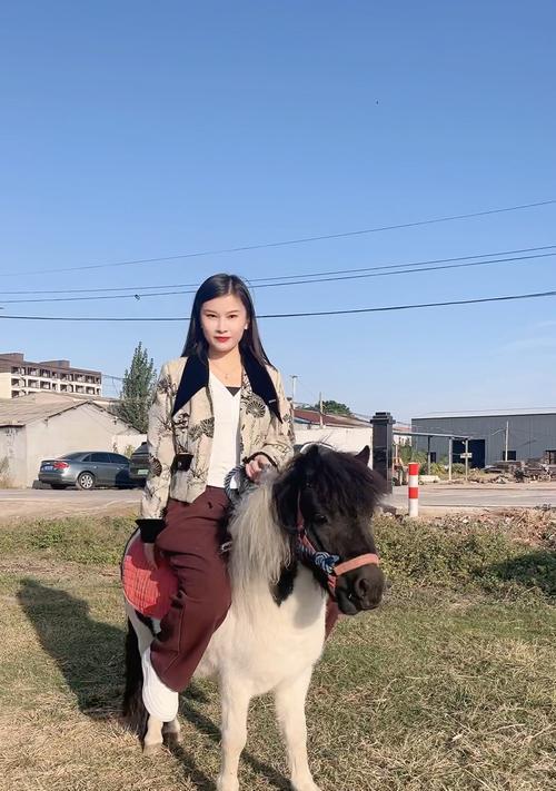 养羊驼矮马的姑娘名字是什么？