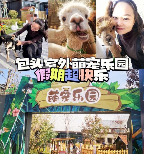 羊驼绳如何拼接更美观？拼法有哪些？