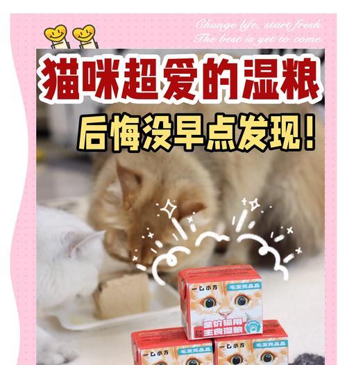 用猫粮洗澡对猫有何影响？