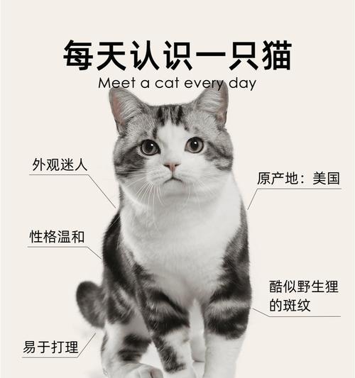 虎斑猫只喝粥不吃猫粮该如何处理？