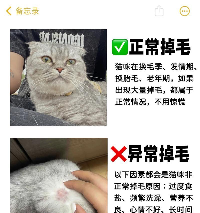 猫咪吃猫粮过多会导致掉毛吗？掉毛的原因有哪些？
