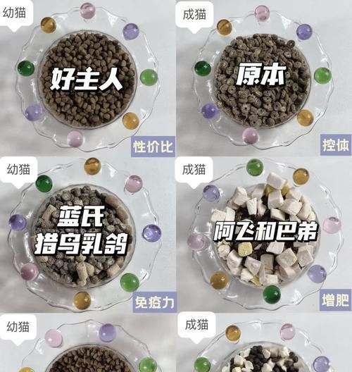 怀孕初期猫妈妈应选择哪种猫粮？