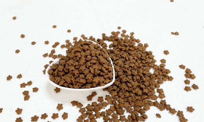 猫粮中出现胶质是什么原因？对猫咪健康有何影响？
