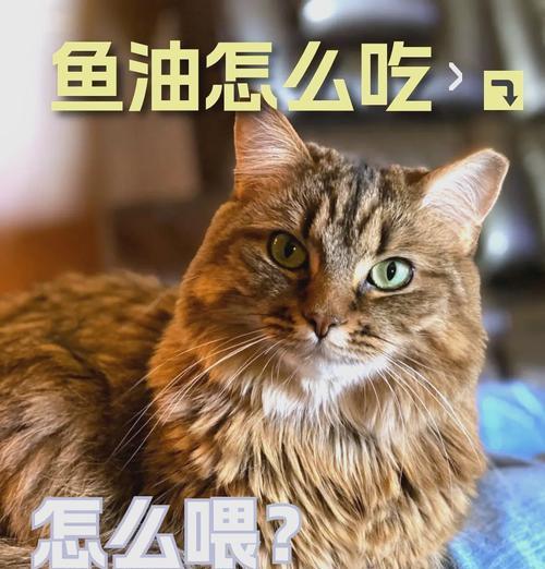 猫粮中缺少鱼油的原因是什么？这对猫咪有什么影响？