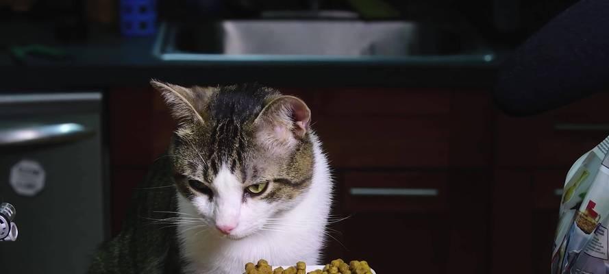 猫吃猫粮会埋起来嘛为什么？这是猫咪的本能行为吗？