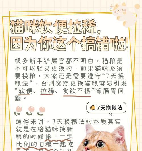 猫咪为何不吃旧粮？新旧猫粮交替的正确方法是什么？