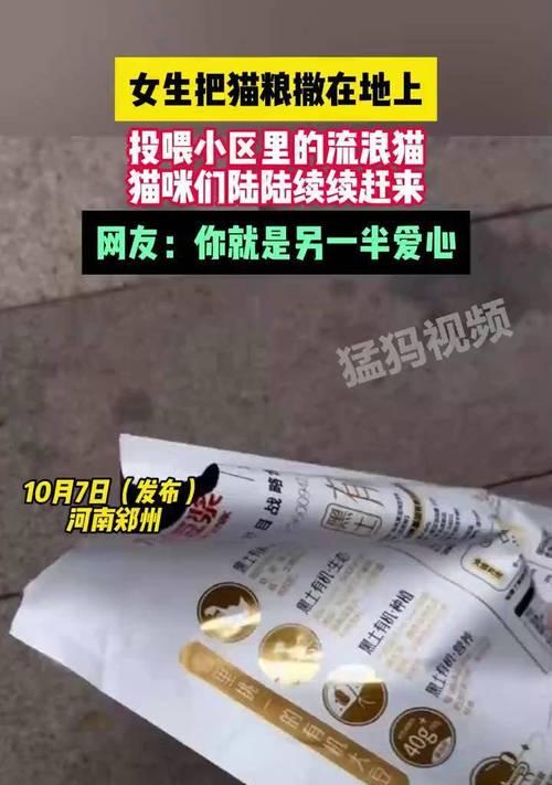 猫屋投喂被偷的猫粮会怎么样？如何防止猫粮被盗？