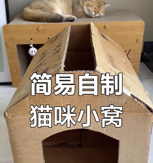 如何用纸箱子制作自动猫粮喂食器？