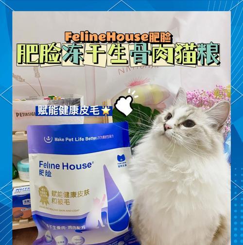 猫粮是否能让猫咪毛发变得光滑？