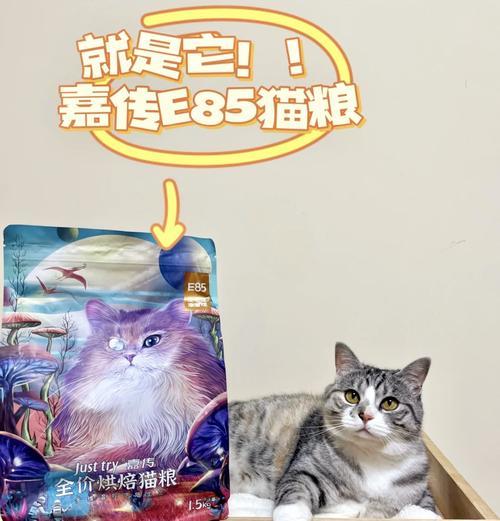 猫粮是否能让猫咪毛发变得光滑？