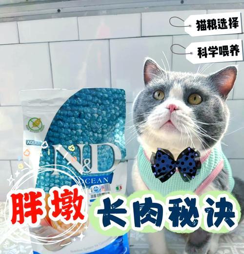 猫粮是否能让猫咪毛发变得光滑？