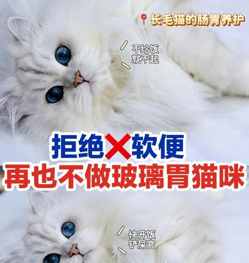 疫情不给送猫粮违法吗怎么投诉？遇到这种情况应该怎么办？