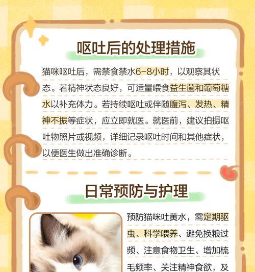 猫吐黄水是为什么？如何处理？