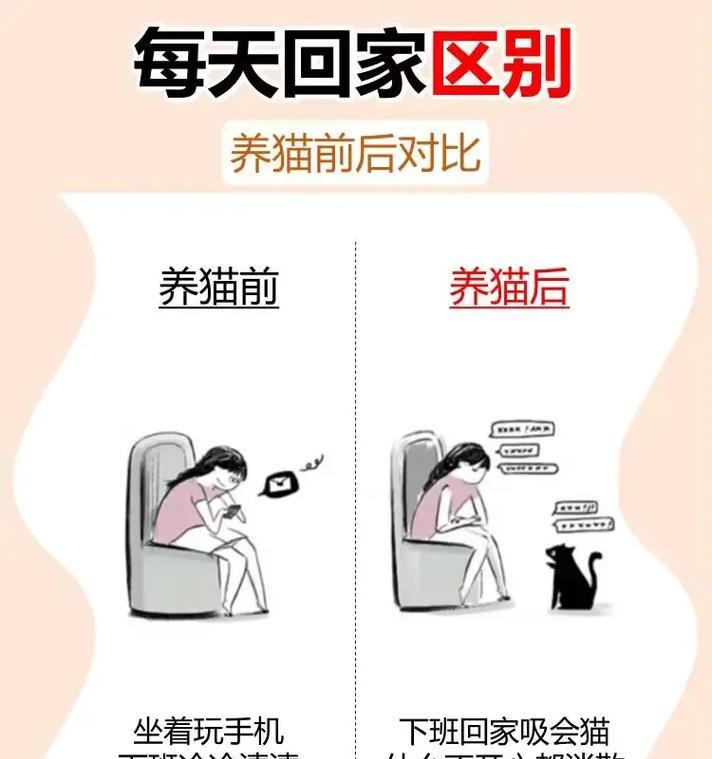 猫粮成猫无谷粮的区别是什么？它们各自有什么特点？