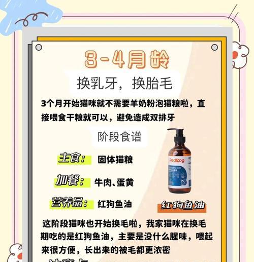 蓝猫是否需要换粮？正确的喂食方法是什么？