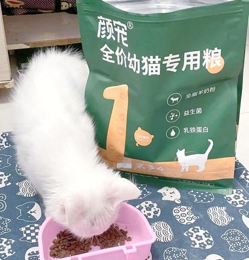 雀猫幼年期吃什么猫粮比较好？如何选择合适的猫粮？