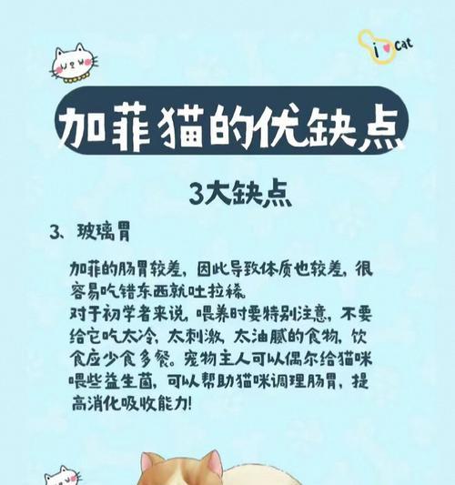 加菲猫吐猫粮的原因是什么？如何解决？