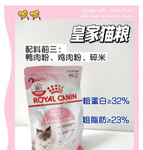 小乳猫在家养时应该吃什么猫粮？