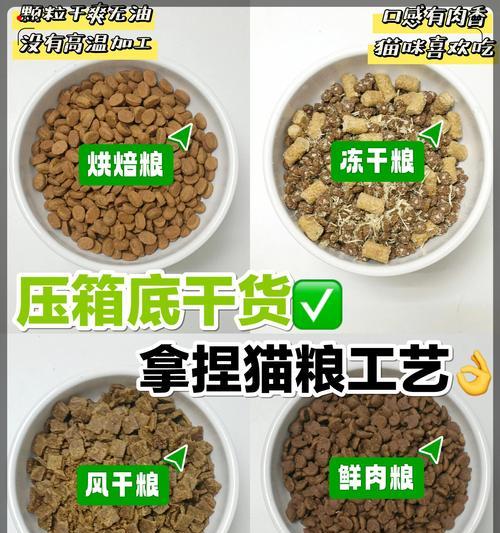 猫摄入高淀粉猫粮会怎样？有哪些潜在影响？