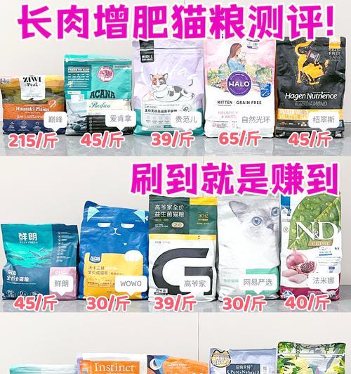 猫摄入高淀粉猫粮会怎样？有哪些潜在影响？