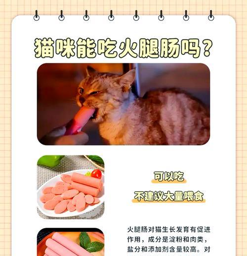 一个月大猫咪能否食用宠物火腿？