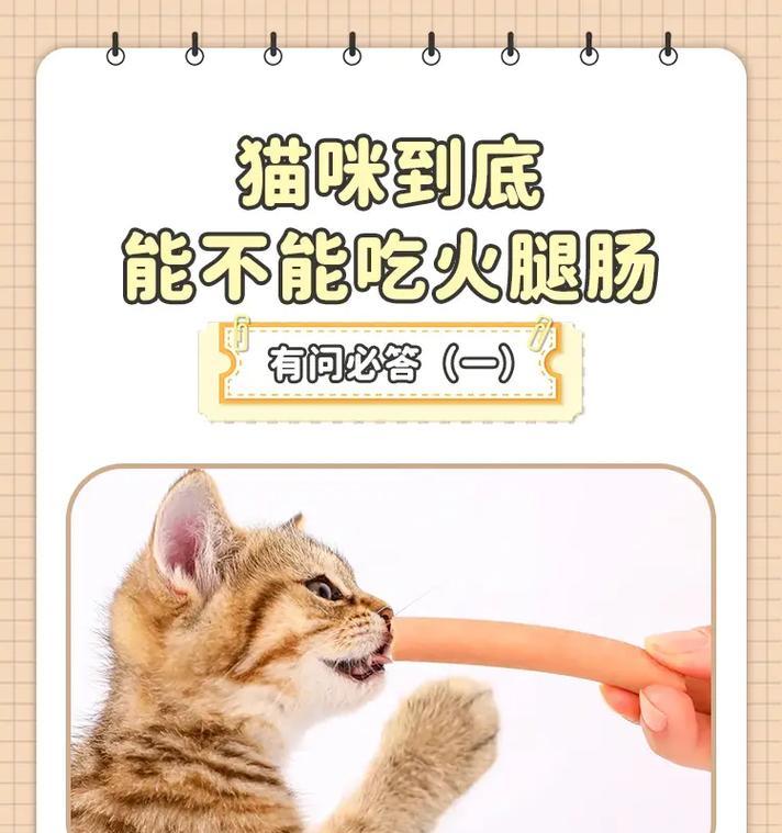 一个月大猫咪能否食用宠物火腿？