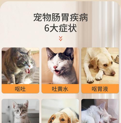猫吐粮吐液体怎么回事？应该给猫吃什么药？