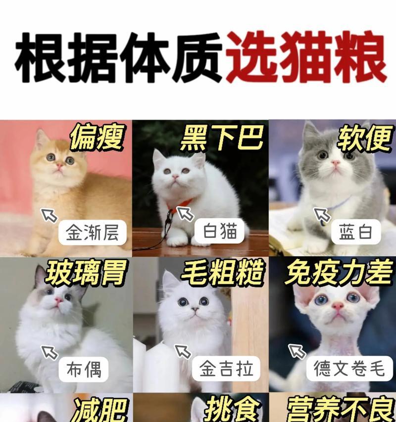猫咪吃完猫粮后总是叫唤是什么原因？如何安抚猫咪？