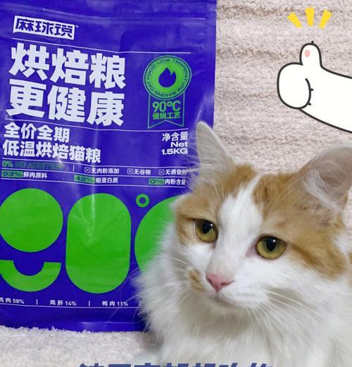 猫粮和水一起时猫咪为何拒绝进食？