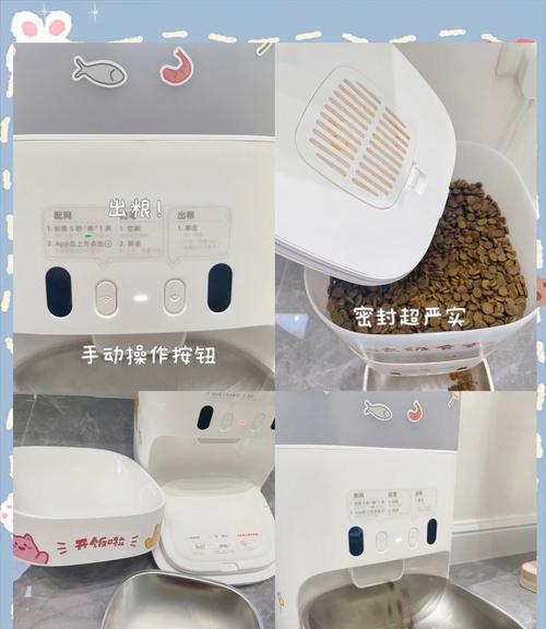 给猫喂猫粮的工具怎么用