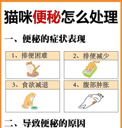 猫咪便秘怎么办？不吃猫粮导致便秘如何解决？