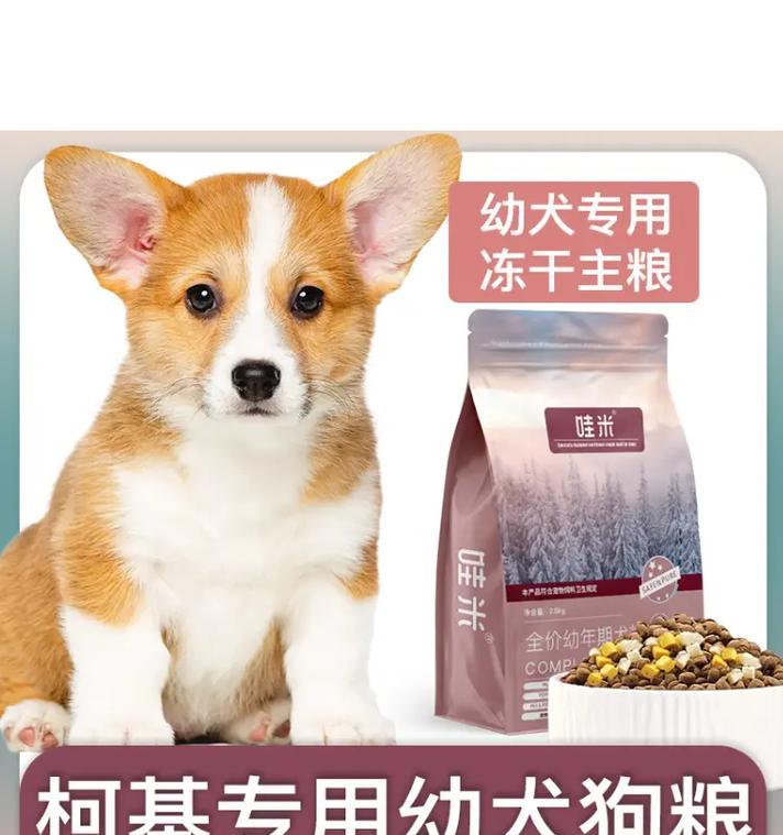 7个月柯基每日狗粮摄入量是多少？