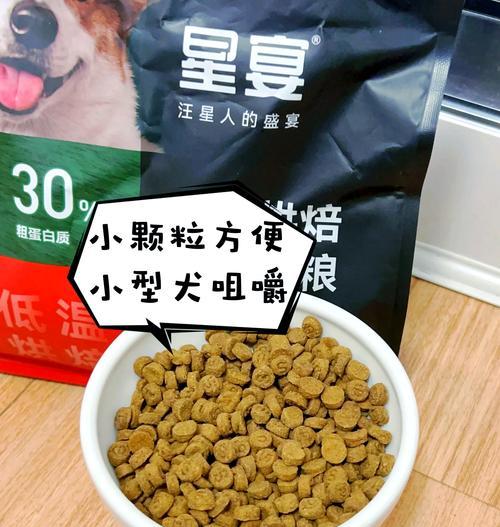 7个月柯基每日狗粮摄入量是多少？