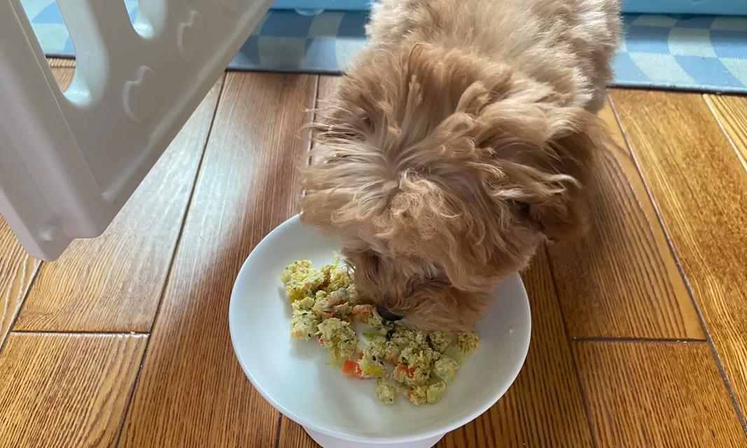 狗狗为何吃了狗粮后拒绝自制饭？