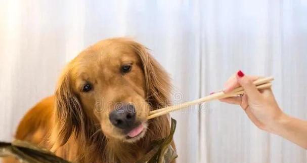 狗狗为何吃了狗粮后拒绝自制饭？