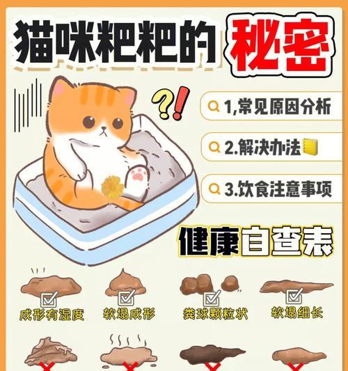 猫咪换粮后大便变硬是怎么回事？需要采取什么措施？