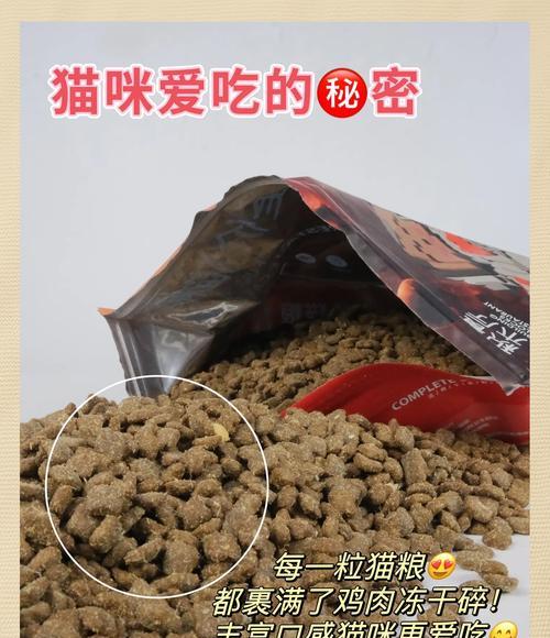 猫咪猫粮干怎么办？如何改善猫咪饮食？