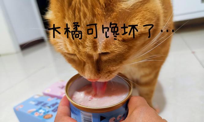 猫粮太大了怎么切开吃呢？有哪些切分技巧？