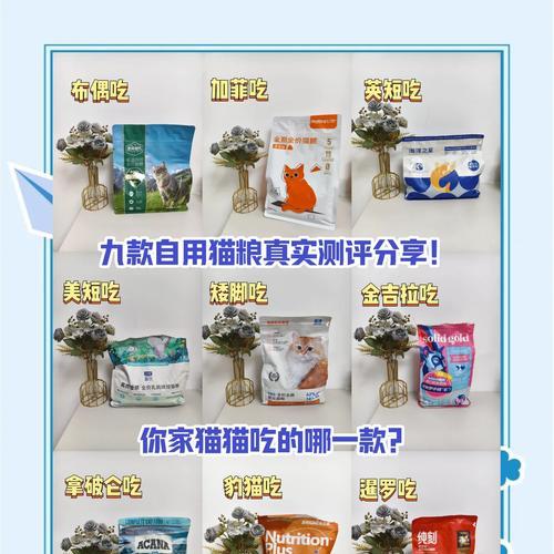 猫舍选购猫粮有哪些技巧？如何确保质量？