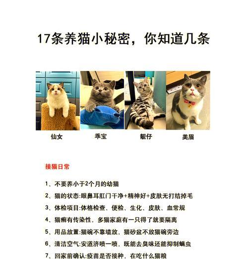 看到猫粮发懵的猫怎么回事？可能的原因和解决办法是什么？